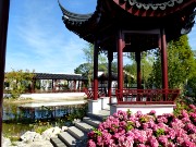 319  China pavilion.JPG